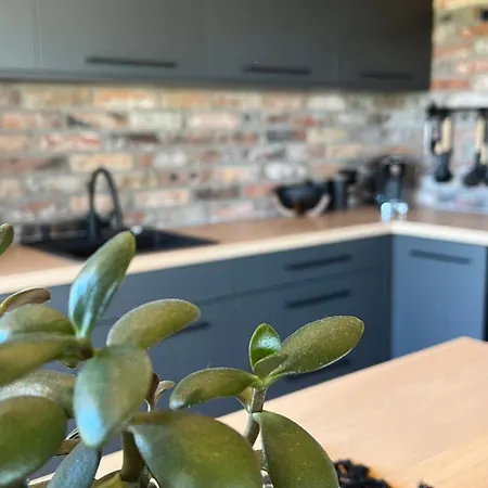 Vila Osobie - Dom Z Widokiem Na Gory *