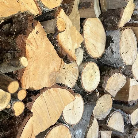 Vila Osobie - Dom Z Widokiem Na Gory *