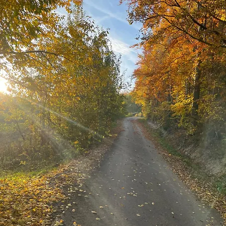 Villa Osobie - Dom Z Widokiem Na Gory